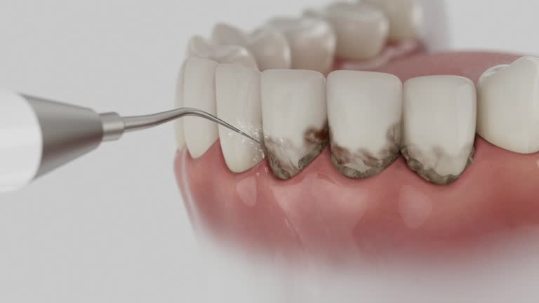 Reliable Dental contractor in Foster County County, ND by Dentist Open Now